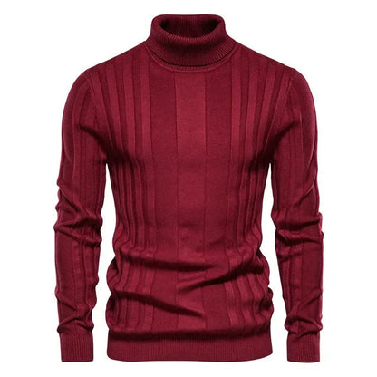 Pull Homme à Col Montant Sampaio Atalan®